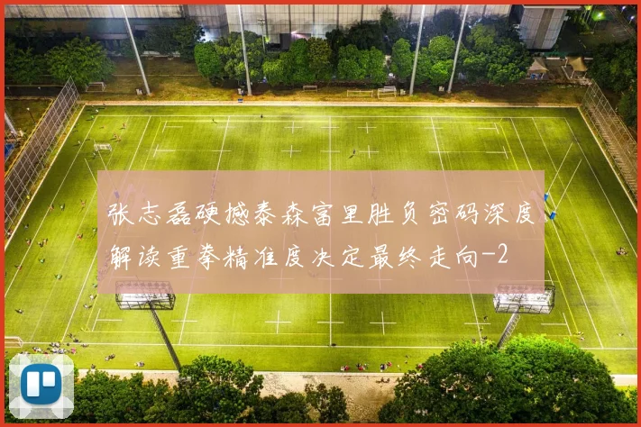 张志磊硬撼泰森富里胜负密码深度解读重拳精准度决定最终走向